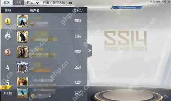 和平精英全服排名位置说明