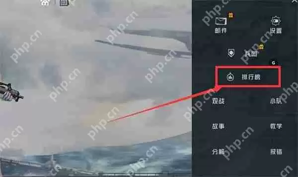 和平精英全服排名位置说明