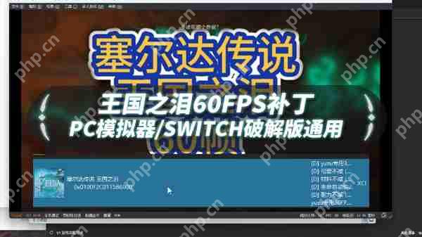 塞尔达传说王国之泪60帧补丁怎么用