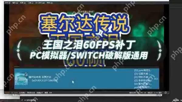 塞尔达传说王国之泪60帧补丁怎么用