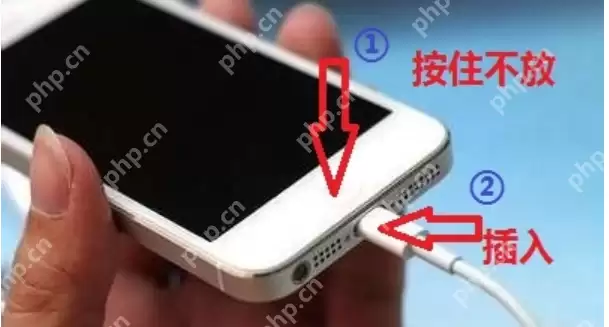 小编告诉你iphone已停用连接itunes怎么办