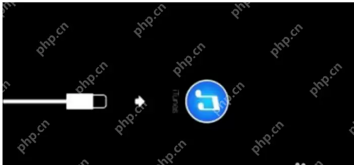小编告诉你iphone已停用连接itunes怎么办