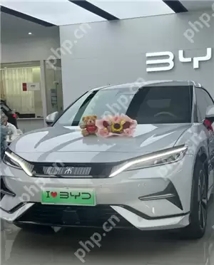 比亚迪预约试驾官网入口 比亚迪预约试驾后就可以直接过去吗