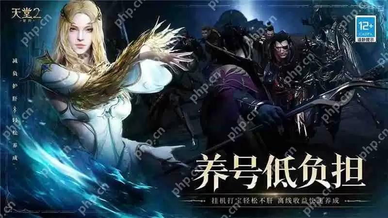 天堂2盟约配置要求一览-天堂2盟约最低配置是什么