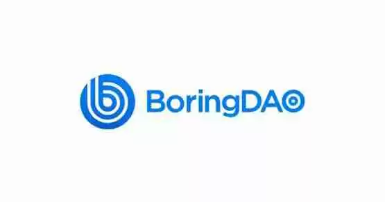 BORING币值得投资吗?BORING币有价值吗?