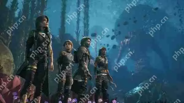 33号远征队配置要求一览