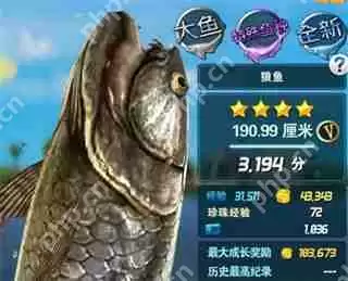 钓鱼发烧友攻略详解