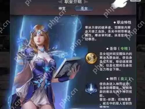 新神魔大陆牧师玩法攻略
