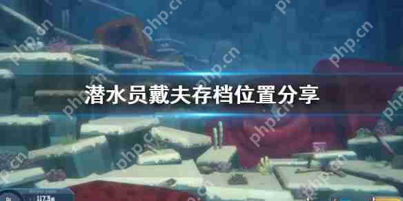 潜水员戴夫存档位置分享