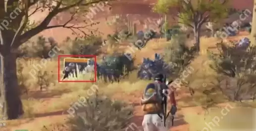 七日世界孤狼高原宝箱在哪  七日世界孤狼高原宝箱位置一览