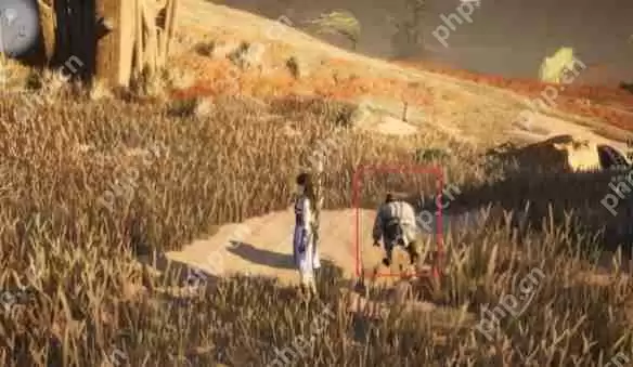 燕云十六声玉门关阿依苏见闻在哪  玉门关阿依苏见闻位置大全