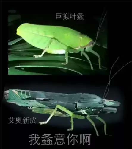 无尽的拉格朗日10