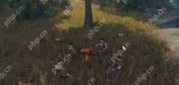 逆水寒手游猪猪迷踪奇遇怎么做  逆水寒手游猪猪迷踪奇遇攻略