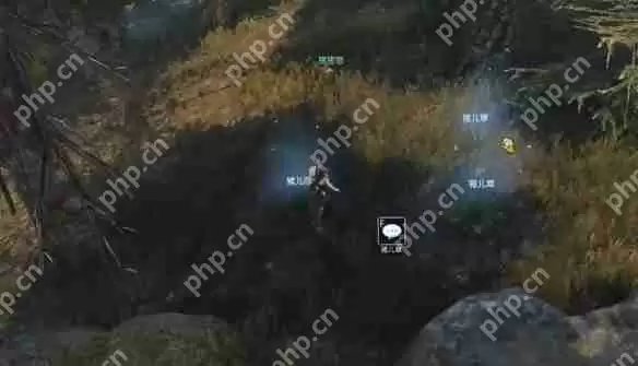 逆水寒手游猪猪迷踪奇遇怎么做  逆水寒手游猪猪迷踪奇遇攻略