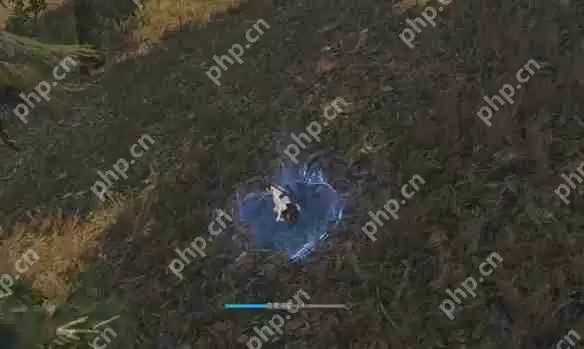 逆水寒手游猪猪迷踪奇遇怎么做  逆水寒手游猪猪迷踪奇遇攻略