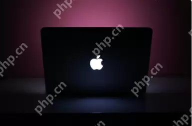 笔记本电脑开机黑屏怎么解决？笔记本电脑开机黑屏的解决方法