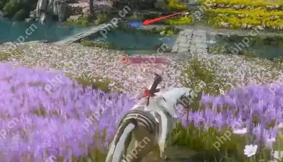 逆水寒手游审讯密探奇遇怎么做  逆水寒手游审讯密探奇遇攻略