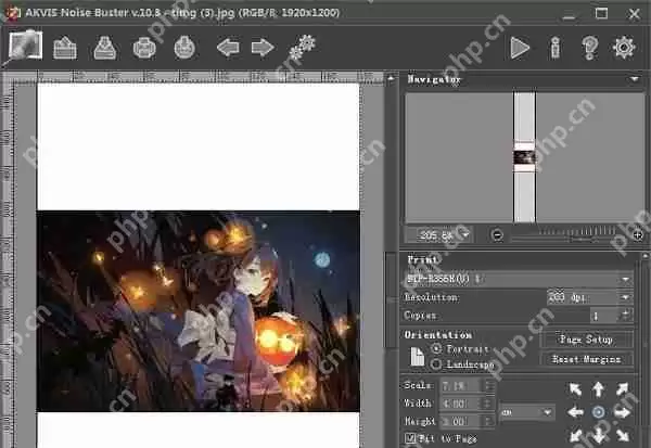 照片有噪点怎么修？后期怎么去掉照片的噪点？