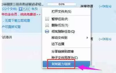 迅雷下载速度为0怎么办 迅雷下载资源速度为0的解决方法