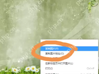 sai怎么导入图片