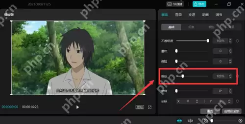 剪映视频画面大小如何调整？剪映视频视频画面大小调整的方法