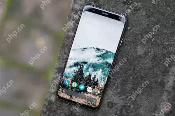 代号提拉米苏！Android 13感受下：补齐Android 12短板