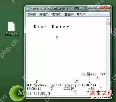 深度大神解决大问题:tmp文件用什么打开