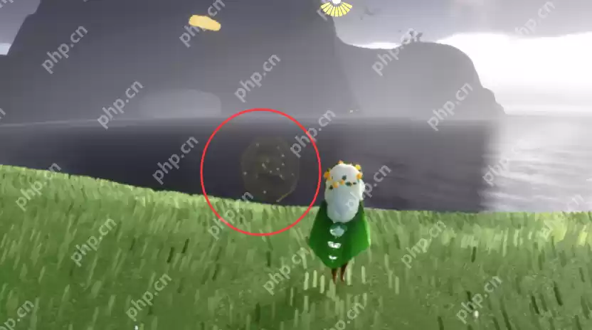 光遇3.14宝藏代币在哪里-光遇3月14日寻宝节代币收集攻略