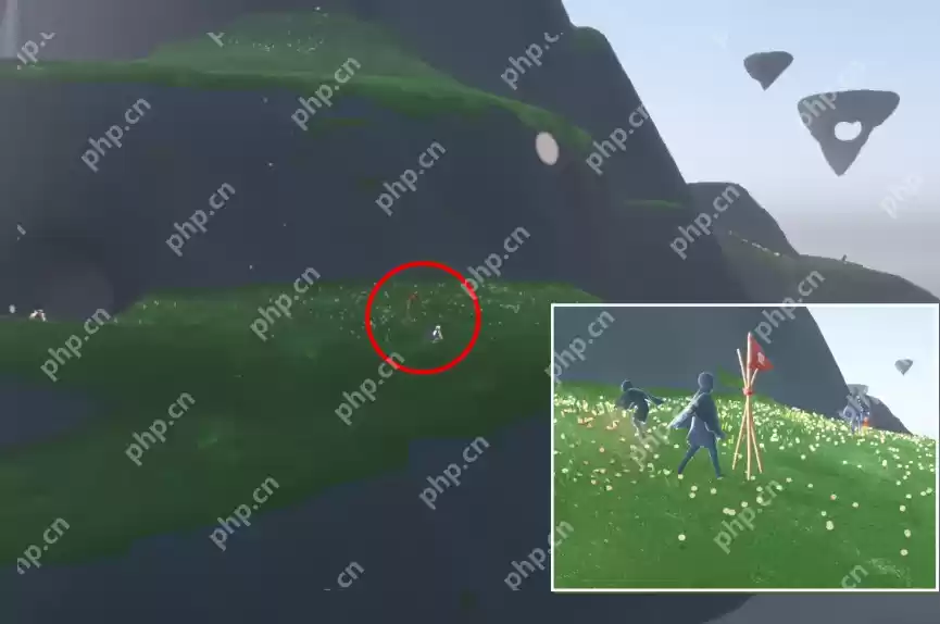 光遇3.14宝藏代币在哪里-光遇3月14日寻宝节代币收集攻略