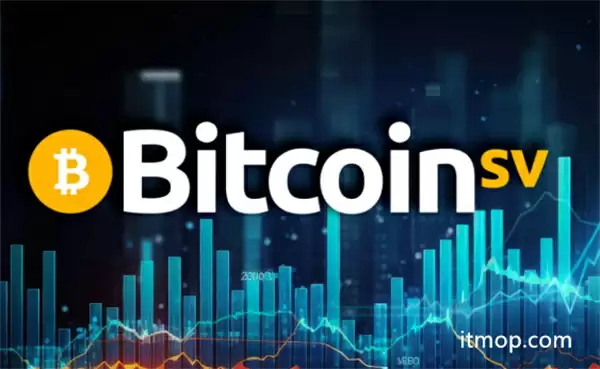 bsv智能合约简介