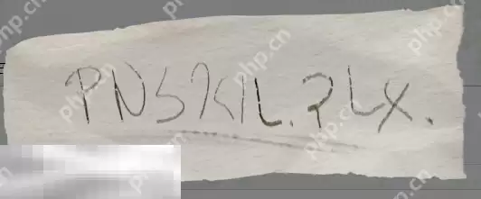 开放空间贝海姆世界资料有哪些 贝海姆世界资料汇总