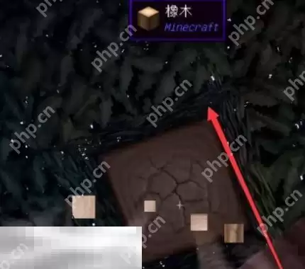 我的世界鲁伯特之泪怎么获得 鲁伯特之泪制作教程