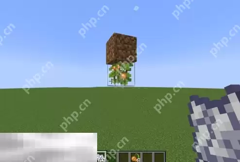 我的世界发光浆果怎么种植 发光浆果培育指南