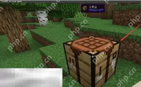 我的世界迷之炖菜怎么合成 特殊食物制作指南