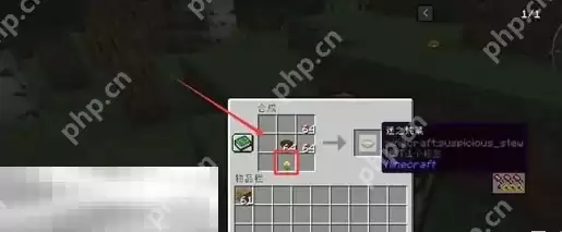 我的世界迷之炖菜怎么合成 特殊食物制作指南