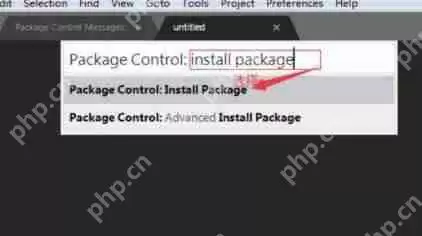 sublime text切换成中文教程