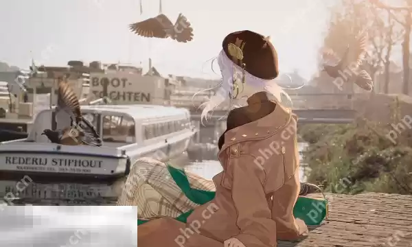 开放空间樱庭世界昼收藏品有哪些 樱庭世界昼收藏品汇总