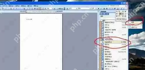信息检索怎么关闭？彻底关闭Word信息检索的操作方法