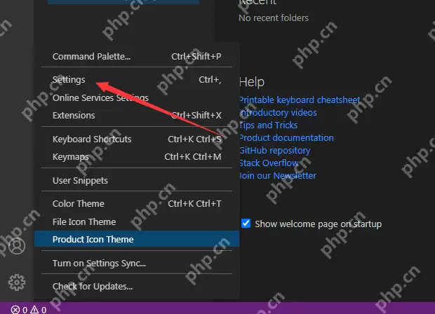 VSCode集成内部it环境怎么关闭？