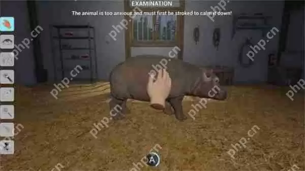 11款新作即将登陆PS平台！《极限竞速：地平线5》等