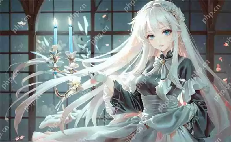 秩序之路阵容推荐一览