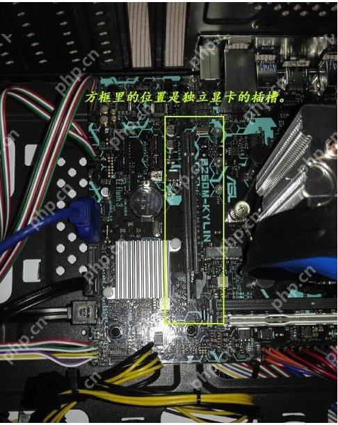 独立显卡怎么安装？独立显卡安装教程