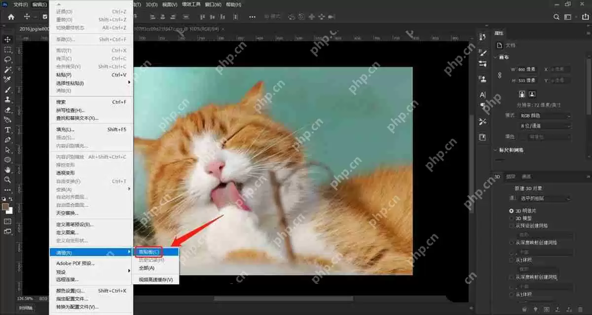 PS怎么清除剪贴板?Photoshop删除剪贴板记录的技巧