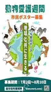 免费制作海报软件有哪些