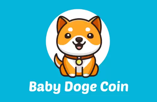 BabyDoge币是骗局吗？