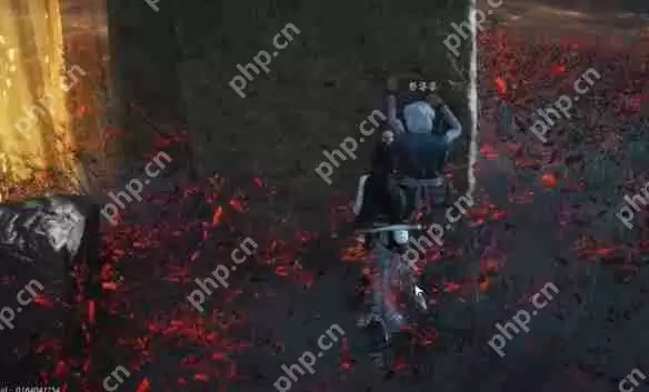 燕云十六声红缨任务全流程详解:轻松获取染血红缨攻略