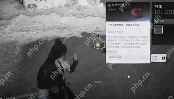 燕云十六声红缨任务全流程详解:轻松获取染血红缨攻略