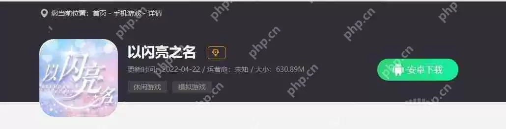 以闪亮之名什么时候公测-公测时间分享