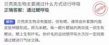 支付宝神奇海洋海豚靠什么呼吸