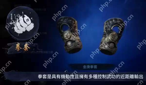 剑灵2拳师怎么样 剑灵2拳师职业介绍